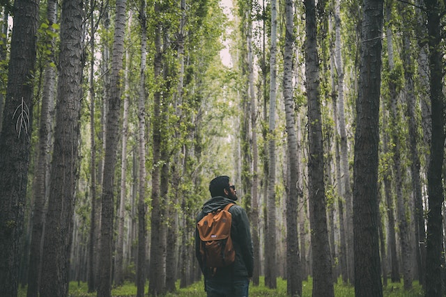 Spending Time in Nature: How It Can Reduce Stress and Increase Wellbeing
